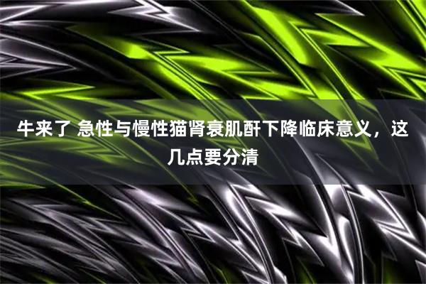 牛来了 急性与慢性猫肾衰肌酐下降临床意义，这几点要分清